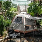 Cactos Bar & Homestay