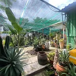 Cactos Bar & Homestay