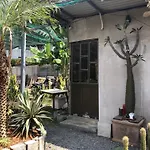 Cactos Bar & Homestay