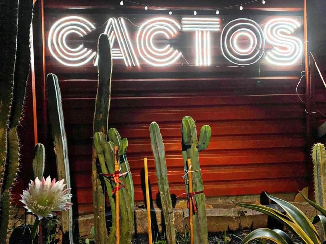 Bed & Breakfast Cactos Bar &