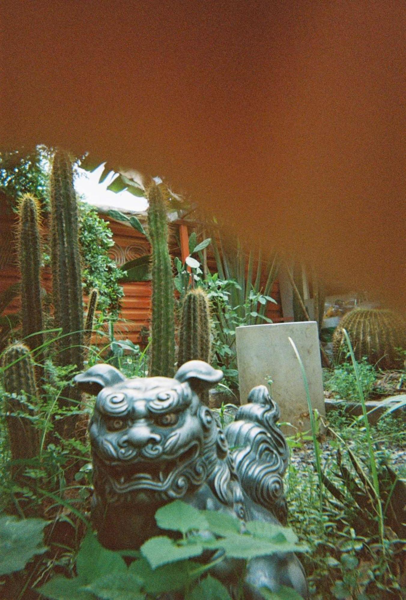 Cactos Bar & TP. Hồ Chí Minh