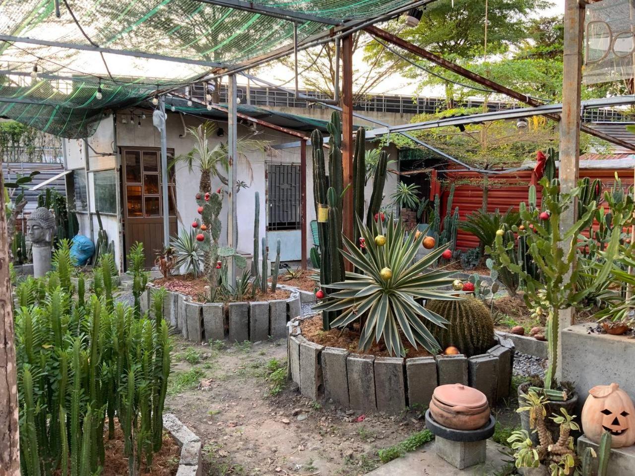 Cactos Bar & * TP. Hồ Chí Minh