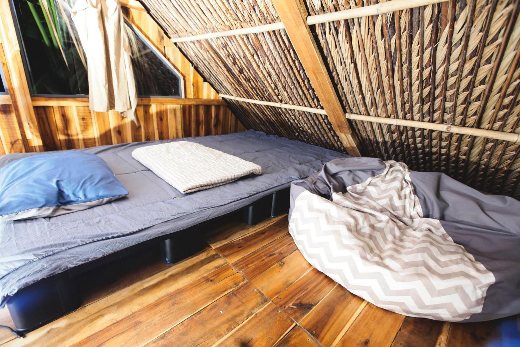 Bed & Breakfast Cactos Bar & TP. Hồ Chí Minh