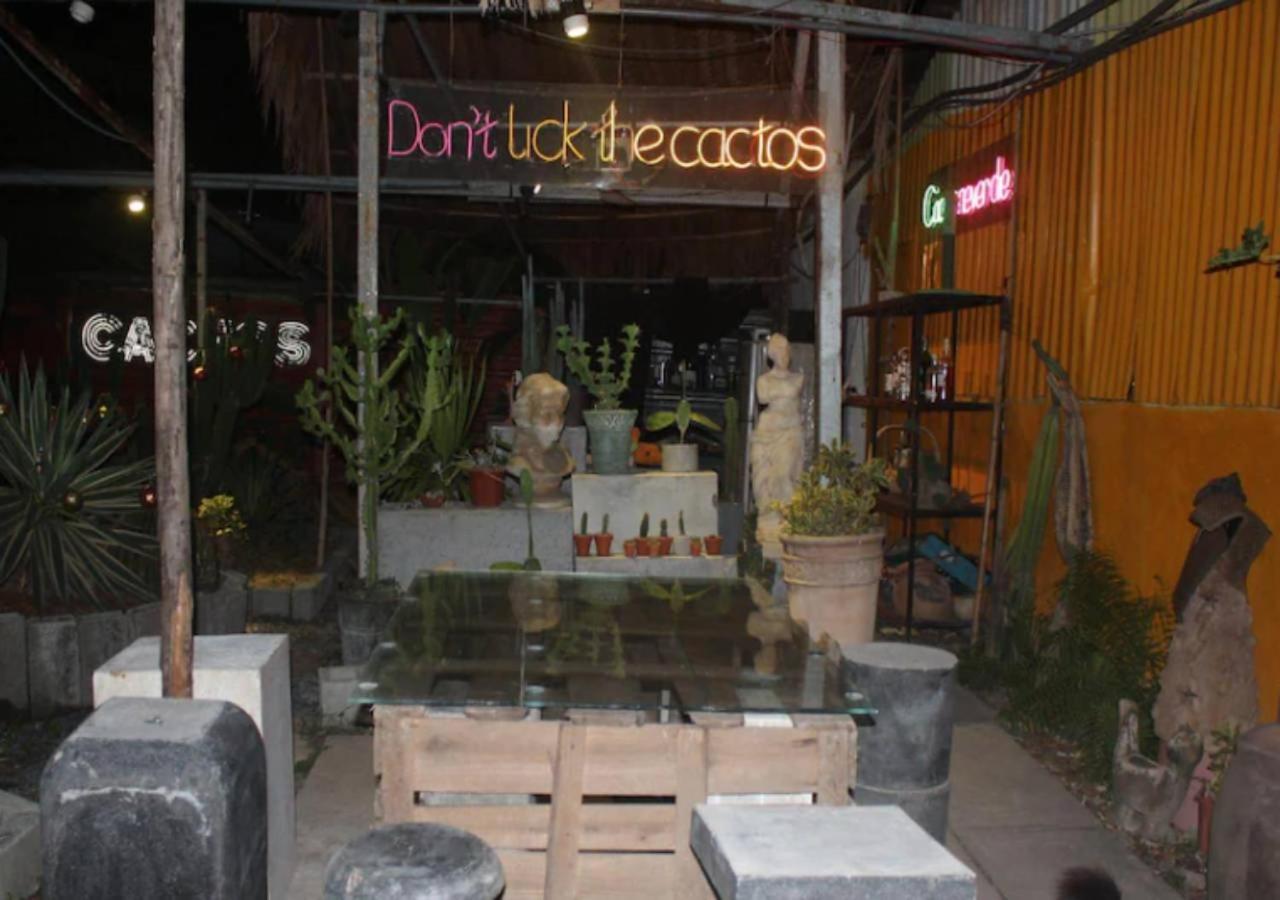 Bed & Breakfast Cactos Bar &