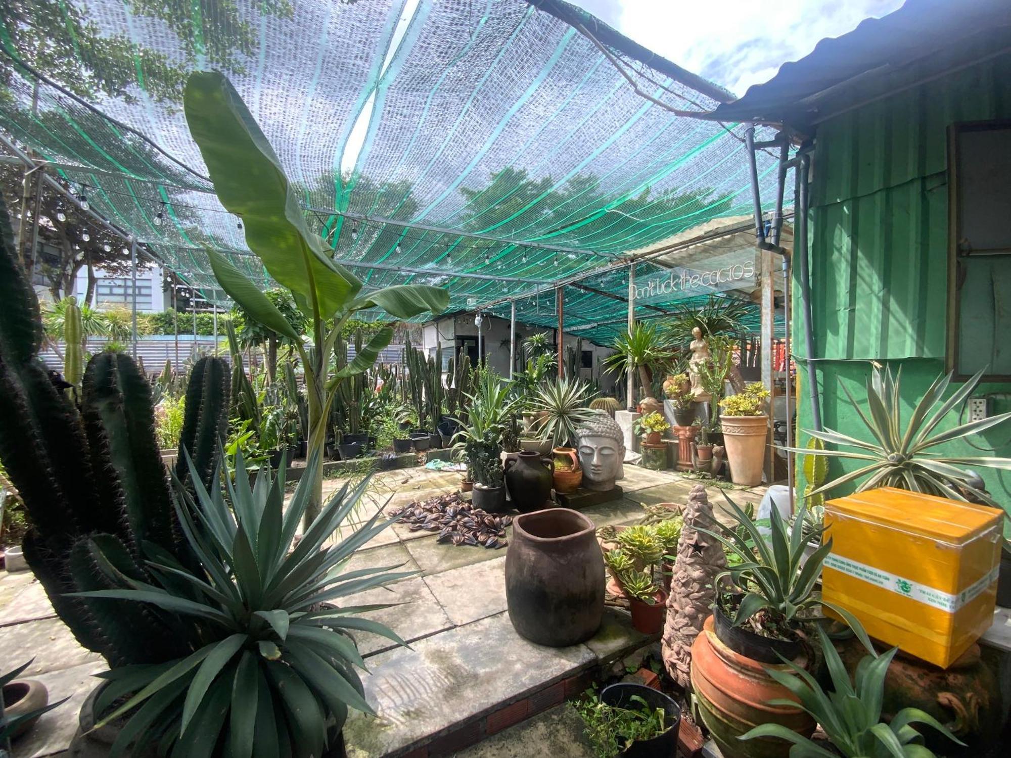 Bed & Breakfast Cactos Bar & *